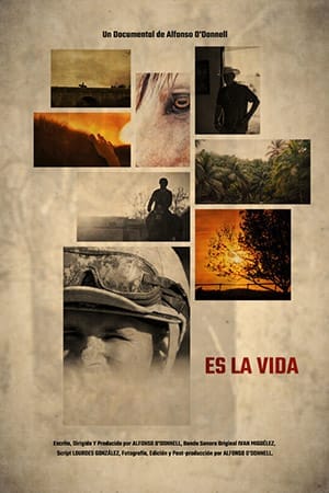 Es La Vida